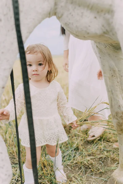 野原の白い服の家族 — ストック写真