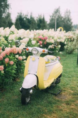 Sarı Wicker Mobilya ve Çiçek Düzenlemeleri ile Limon Temalı Açık Bahçe Partisi