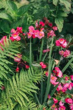 Yeşillik ve Çiçek Çiçekleriyle Zarif Çiçek Dükkanı