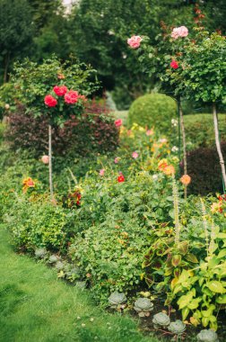 Yeşillik ve Çiçek Çiçekleriyle Zarif Çiçek Dükkanı