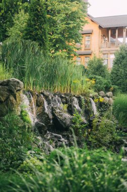 Şehirde rahatlamak için yemyeşil park lüks bir yer.