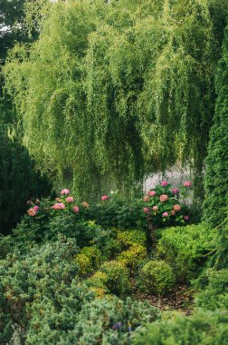 Yeşillik ve Çiçek Çiçekleriyle Zarif Çiçek Dükkanı