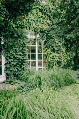 Çekici tuğla bina cephesi yemyeşil ve parlak beyaz kapılı