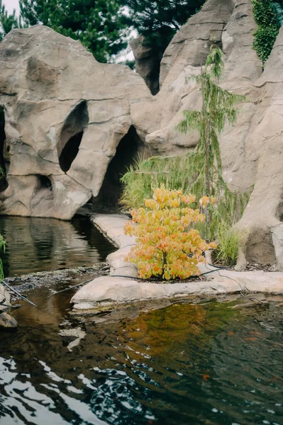 Pond ve Autumn Renkleriyle Serene Japon Bahçesi