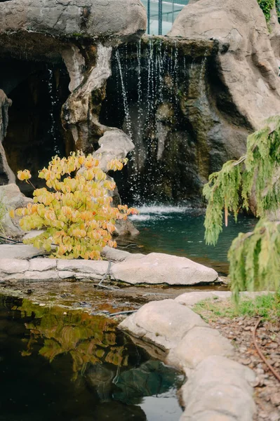 Pond ve Autumn Renkleriyle Serene Japon Bahçesi