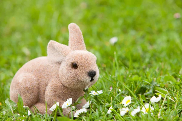 甜甜的人造复活节兔子在草地上 有复制空间 — 图库照片