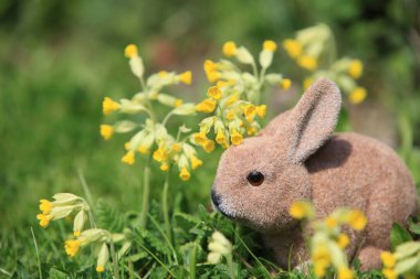 Çimlerde fotokopi alanı olan tatlı yapay Paskalya tavşanı