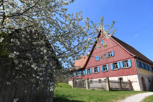 Gårdshus Med Blommande Äppelträd — Stockfoto