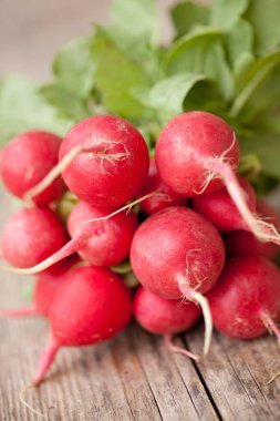 Taze toplanmış küçük kırmızı turplar.