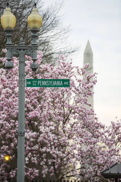 Pennsylvania Bulvarı, Washington D.C. (Columbia Bölgesi), Amerika Birleşik Devletleri, Kuzey Amerika