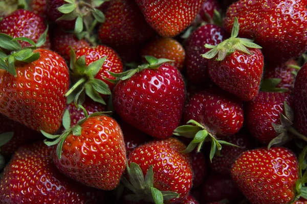 Taze sağlıklı çilek arkaplanının yakın çekimi