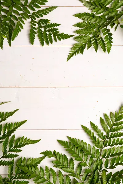 Tasarımını yeşil eğreltiotu yatılı arka planıyla çerçevele