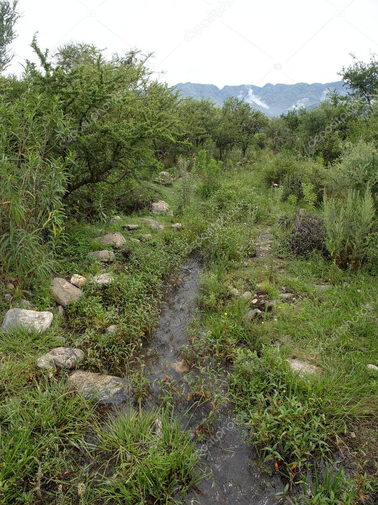 A small stream in Villa de Merlo, San Luis, Argentina.