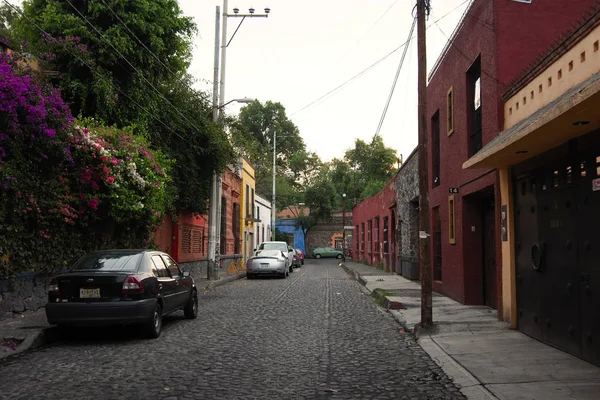 Mexico Stad Mexico 2019 Een Typische Straat Historische Wijk Coyoacan — Stockfoto