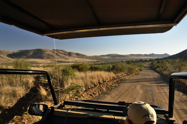 North West Province, South Africa - 2019: A man drives an open Land Rover with tourist in a safari at Pilanesberg National Park