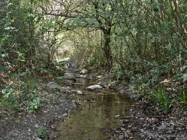Creek Cerro Banderita Falda Cordoba Argentina — Stock Photo, Image