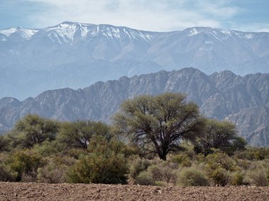 La Rioja eyaleti, Arjantin, doğal rota 76 yanında görünümü. 