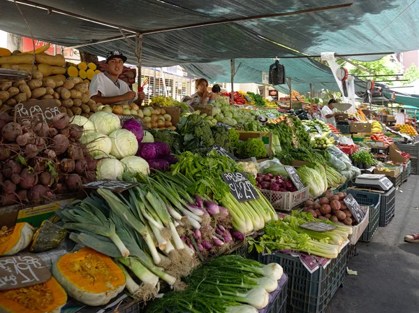 科尔多瓦市 科尔多瓦 阿根廷 2019 在炎热的夏天 市中心附近的街道的临时蔬菜市场 — 图库照片