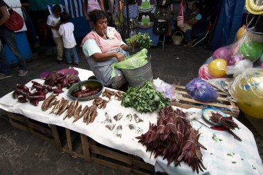 Tepoztlan, Morelos, Meksika - 2019: Hafta sonu folklorik pazarı şehrin başlıca turistik yerlerinden biridir.