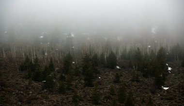 İlkbahar aylarında Rocky Mountain Milli Parkı'ndaki manzara, Colorado, ABD.