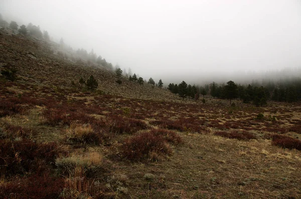 Het Uitzicht Het Rocky Mountain National Park Tijdens Spring Time — Stockfoto