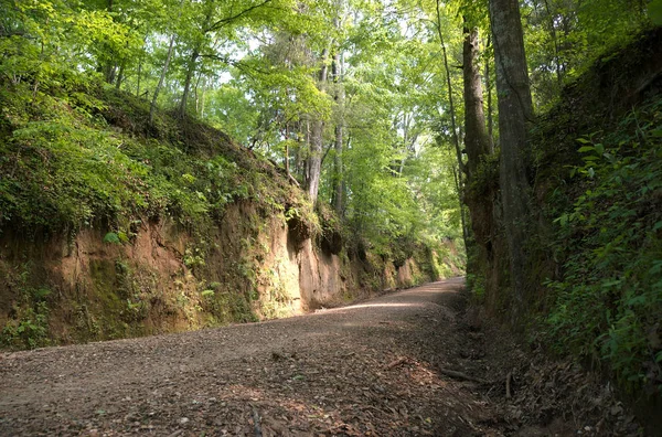 Dirt Road Tunica Hills Wildlife Management Area Louisiana Verenigde Staten — Stockfoto