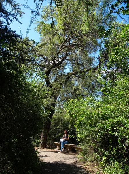 Córdoba Argentina 2019 Uma Mulher Descansa Debaixo Uma Árvore Jardim — Fotografia de Stock