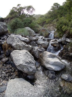 Villa de Merlo, San Luis, Arjantin'deki Reserva Florofaunistica rezervinin manzarası.