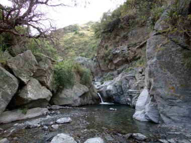 Villa de Merlo, San Luis, Arjantin'deki Reserva Florofaunistica rezervinin manzarası.