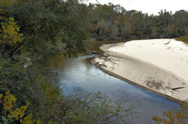 Comite River görünümü Comite River Park, popüler bir dağ bisikleti parkurları sitesi, Baton Rouge, Louisiana, Abd.