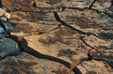 Kuru ve çatlak toprağın yakından görünümü, Baton Rouge, Louisiana, Abd.