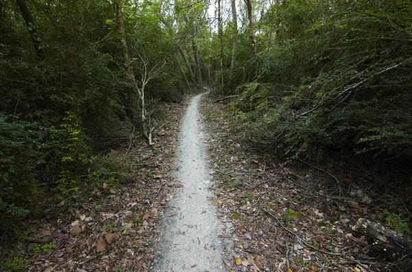 Ένα Μονοπάτι Ποδήλατο Βουνού Στο Comite River Park Μπατόν Ρουζ — Φωτογραφία Αρχείου