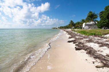 İslamorada'daki manzara, Florida, ABD.