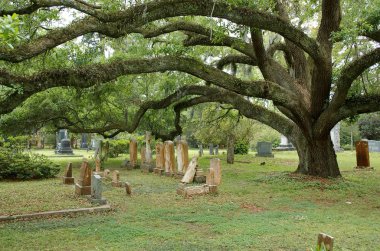 St. Francisville, Louisiana, Abd - 2019: Tarihi Grace Piskoposluk Kilisesi'nde bulunan bir mezarlıkta mezarlar ve meşe ağaçları. 