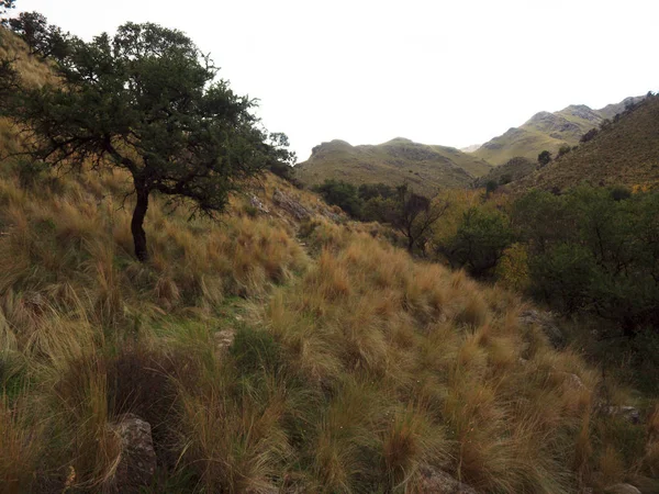 View Mogote Bayo Natural Reserve Villa Merlo San Luis Argentinië — Stockfoto
