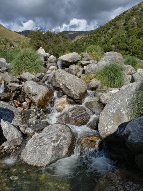 Villa de Merlo, San Luis, Arjantin'deki Reserva Florofaunistica rezervinin manzarası.