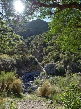 Villa de Merlo, San Luis, Arjantin'deki Reserva Florofaunistica rezervinin manzarası.
