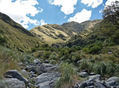 Villa de Merlo, San Luis, Arjantin'deki Reserva Florofaunistica rezervinin manzarası.
