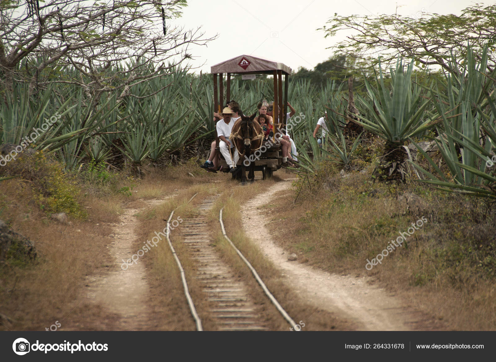 Tecoh Yucatan Mexico 19 People Move Hacienda Sotuta Peon Horse Stock Editorial Photo C Mfmegevand Tecoh Yucatan Mexico 19 People Move Hacienda Sotuta Peon Horse Stock Editorial Photo C Mfmegevand