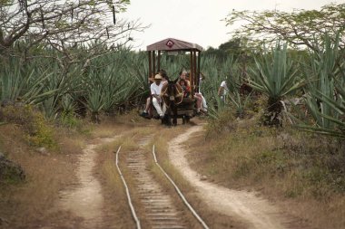 Tecoh, Yucatan, Meksika - 2019: İnsanlar Hacienda Sotuta de Peon'da bir at üzerinde hareket ediyor raylar üzerinde çalışan bir at arabası çekti.