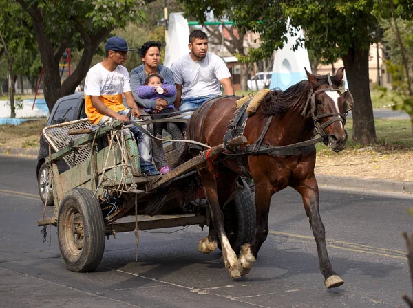 코르도바 코르도바 아르헨티나 2019 가족이 지역에 마차를 마차를 교통의이 형태는 — 스톡 사진
