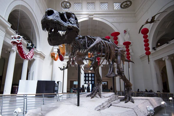 Chicago Illinois Stany Zjednoczone 2019 Szkielet Dinozaurów Muzeum Historii Naturalnej — Zdjęcie stockowe