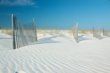 Sand dunes in Gulf State Park, Gulf Shores, Alabama, USA. clipart