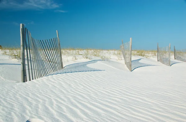 Dunas Areia Gulf State Park Gulf Shores Alabama Eua — Fotografia de Stock