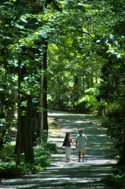 Memphis, Tennessee, Abd - 2018: Dixon Gallery & Gardens'ta 17 dönümlük bahçelerin bulunduğu patikada yürüyen bir çift.