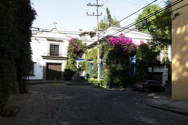 Ciudad México México 2019 Una Calle Empedrada Tradicional Barrio San —  Fotos de Stock