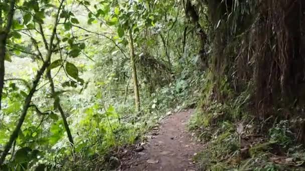 Pahuma Orchid Reserve Located Hour Northwest Quito Ecuador — Stock Video