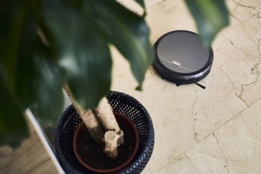 Yerde robotik süpürge var. 