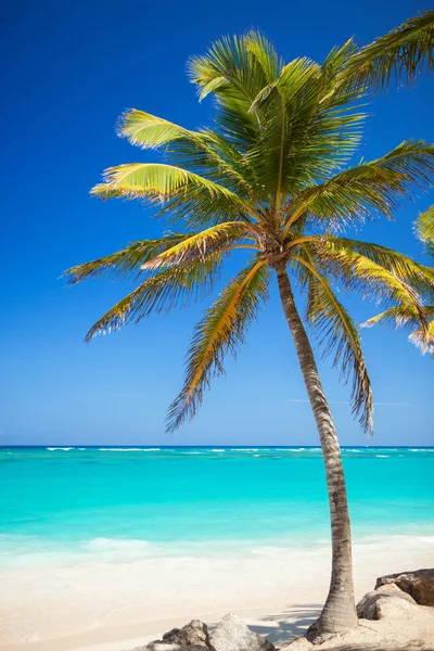 Praia Tropical Oceano Palmeiras Fundo Areia Branca Mar Azul Cristalino — Fotografia de Stock