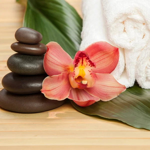 Spa Background White Towels Exotic Plant Beautiful Orchid Flower Balancing — Stock Photo, Image